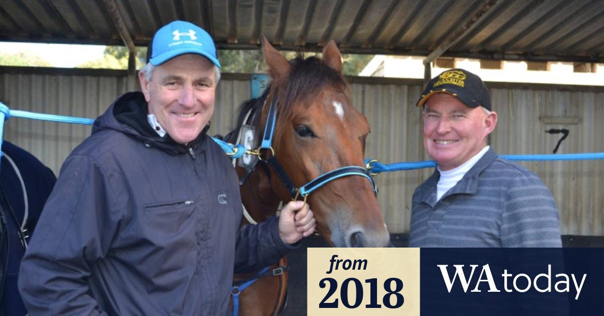 Prominent Perth horse trainer back in business after spruiking 'dud' horse